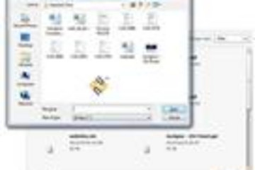 Aurigma Image Uploader Flash预览：